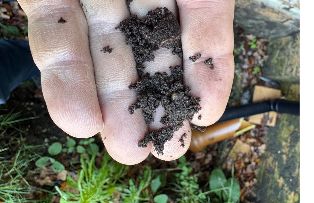 Site photograph of coarse sand with silt sample held in hand